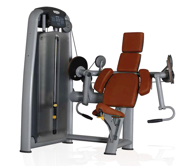 BFT2003肱二頭肌訓練器 室內健身器材大全批發(fā)大圖展示1