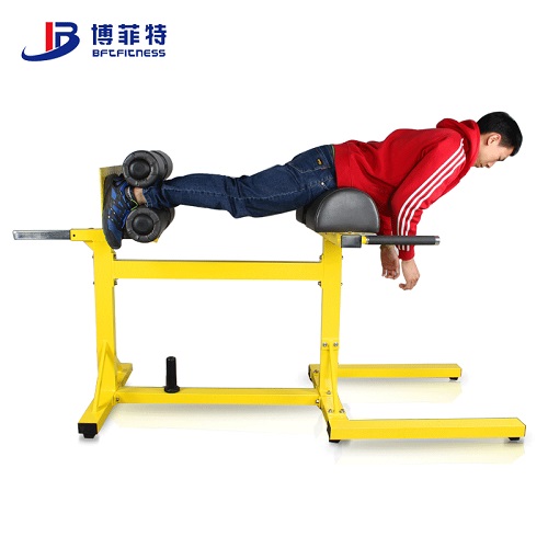 BFT1023水平羅馬椅訓練器 山羊挺身健身器材廣州大圖展示1