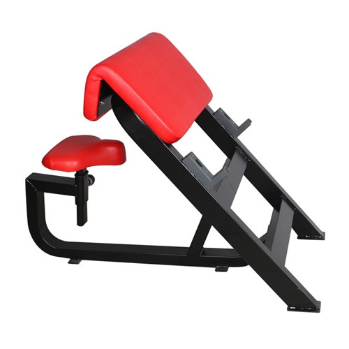 BFT3033B坐式二頭肌訓(xùn)練椅 杠鈴抬舉訓(xùn)練