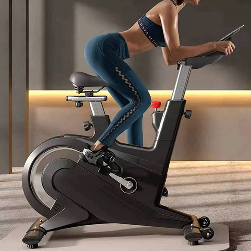 BSE-07 智能動感單車