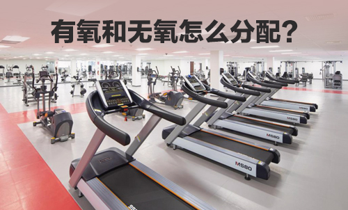 健身房怎么分配有氧器械和無(wú)氧器械