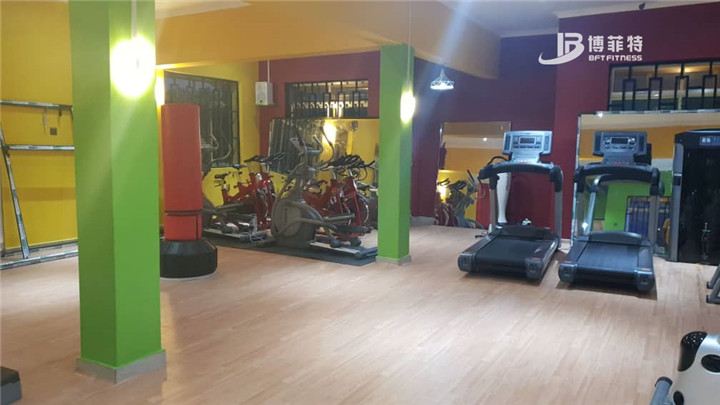 坦桑尼亞健身房器材