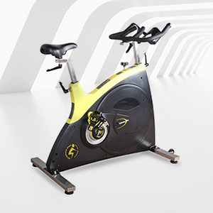 BSE-12健身房豪華商用動(dòng)感單車(chē) 新款動(dòng)感單車(chē)廠家