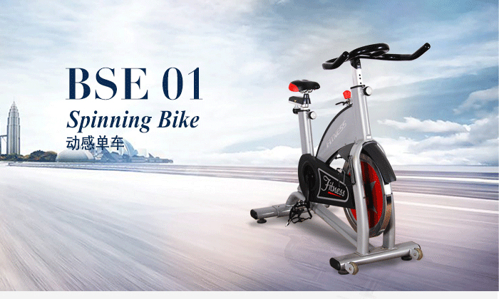 BSE01動(dòng)感單車（灰色）